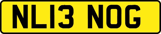 NL13NOG