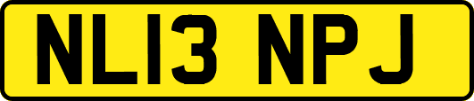 NL13NPJ