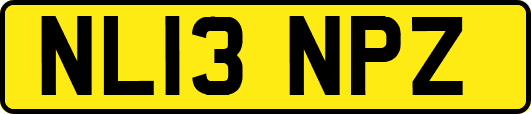 NL13NPZ