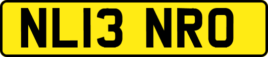 NL13NRO