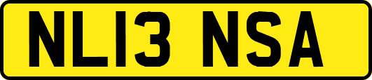 NL13NSA