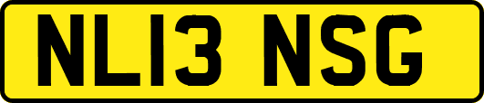 NL13NSG