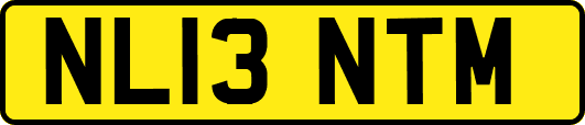 NL13NTM