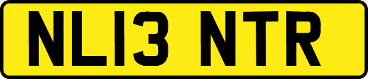 NL13NTR
