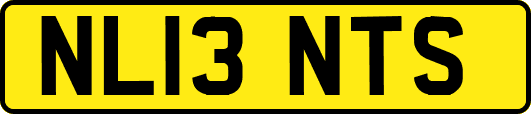 NL13NTS