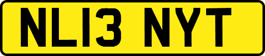 NL13NYT