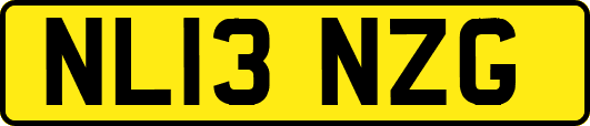NL13NZG