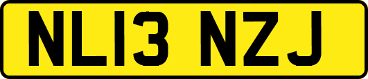 NL13NZJ