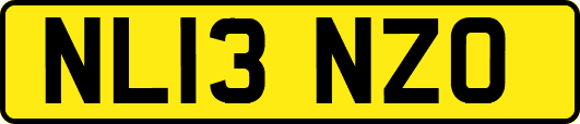 NL13NZO
