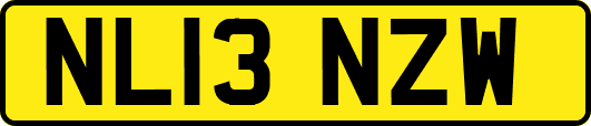 NL13NZW