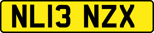 NL13NZX