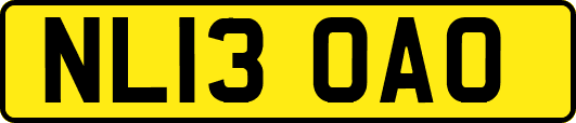 NL13OAO