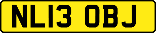 NL13OBJ