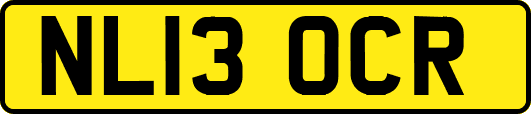 NL13OCR