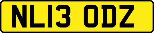 NL13ODZ