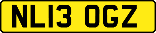 NL13OGZ