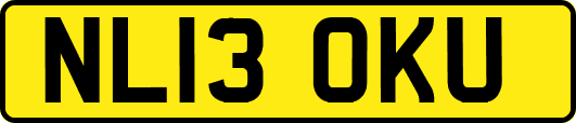 NL13OKU