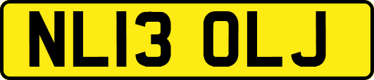NL13OLJ