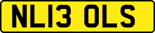 NL13OLS