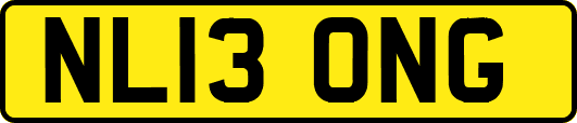 NL13ONG