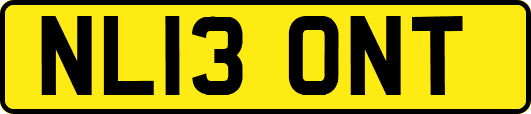 NL13ONT