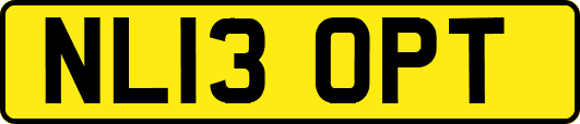 NL13OPT