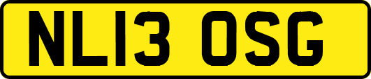 NL13OSG