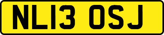 NL13OSJ
