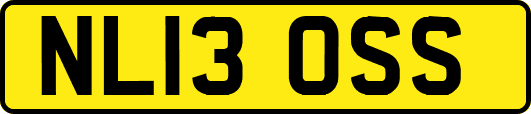 NL13OSS