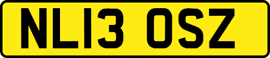 NL13OSZ