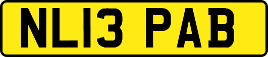 NL13PAB