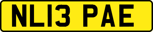 NL13PAE