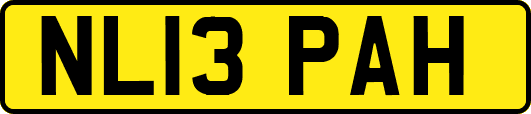 NL13PAH