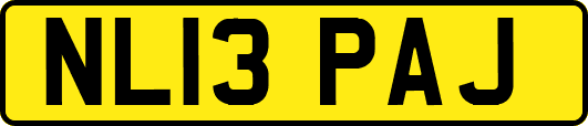 NL13PAJ