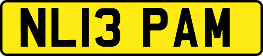 NL13PAM