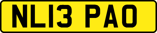 NL13PAO