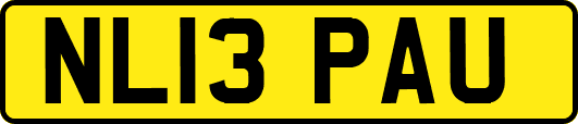 NL13PAU