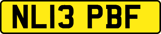 NL13PBF