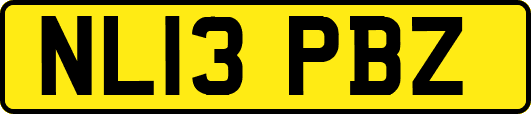 NL13PBZ