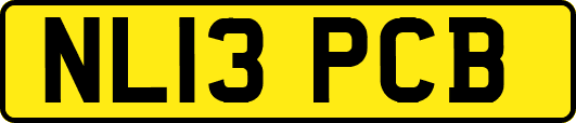 NL13PCB