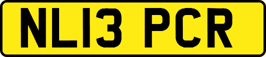 NL13PCR