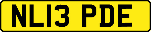 NL13PDE