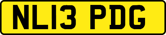 NL13PDG