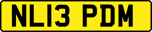 NL13PDM