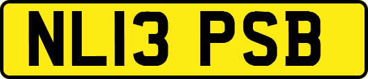 NL13PSB