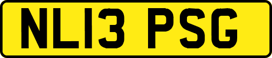 NL13PSG