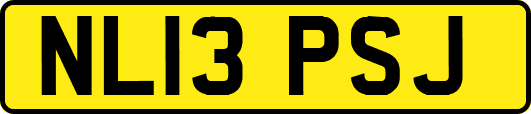 NL13PSJ