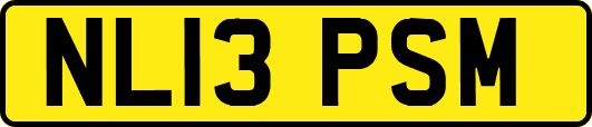 NL13PSM