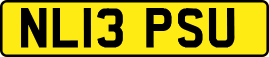 NL13PSU