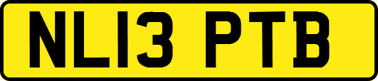 NL13PTB